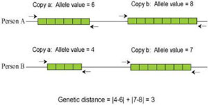 Y-DNA and its role in ancestry